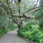 Alfred B. Maclay Gardens State Park