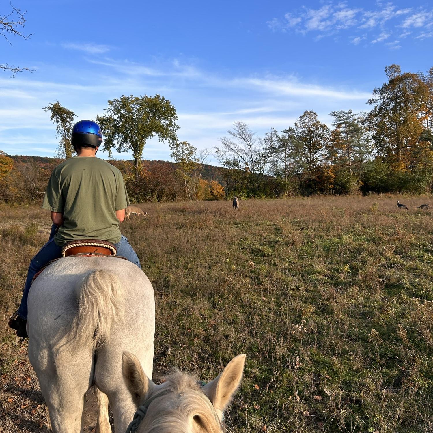 Horseback riding in Vermont