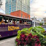 LaZoom Tours