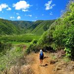 Pololū Valley