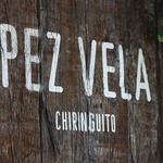 Pez Vela