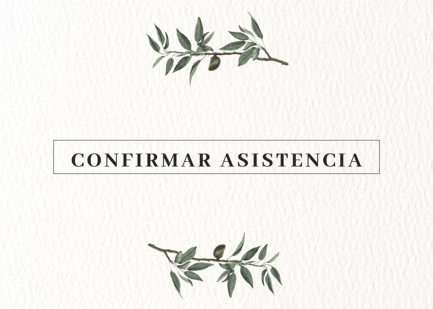 The Wedding Website of Isabel Lojo and Iván Ochoa
