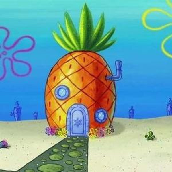 First Home Down Payment