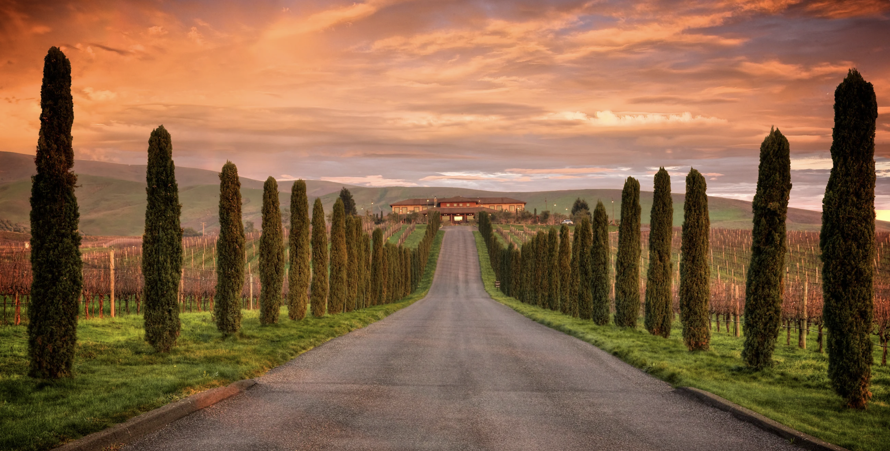 The Wedding Website of Julia Smadja and Bryce Bruckner