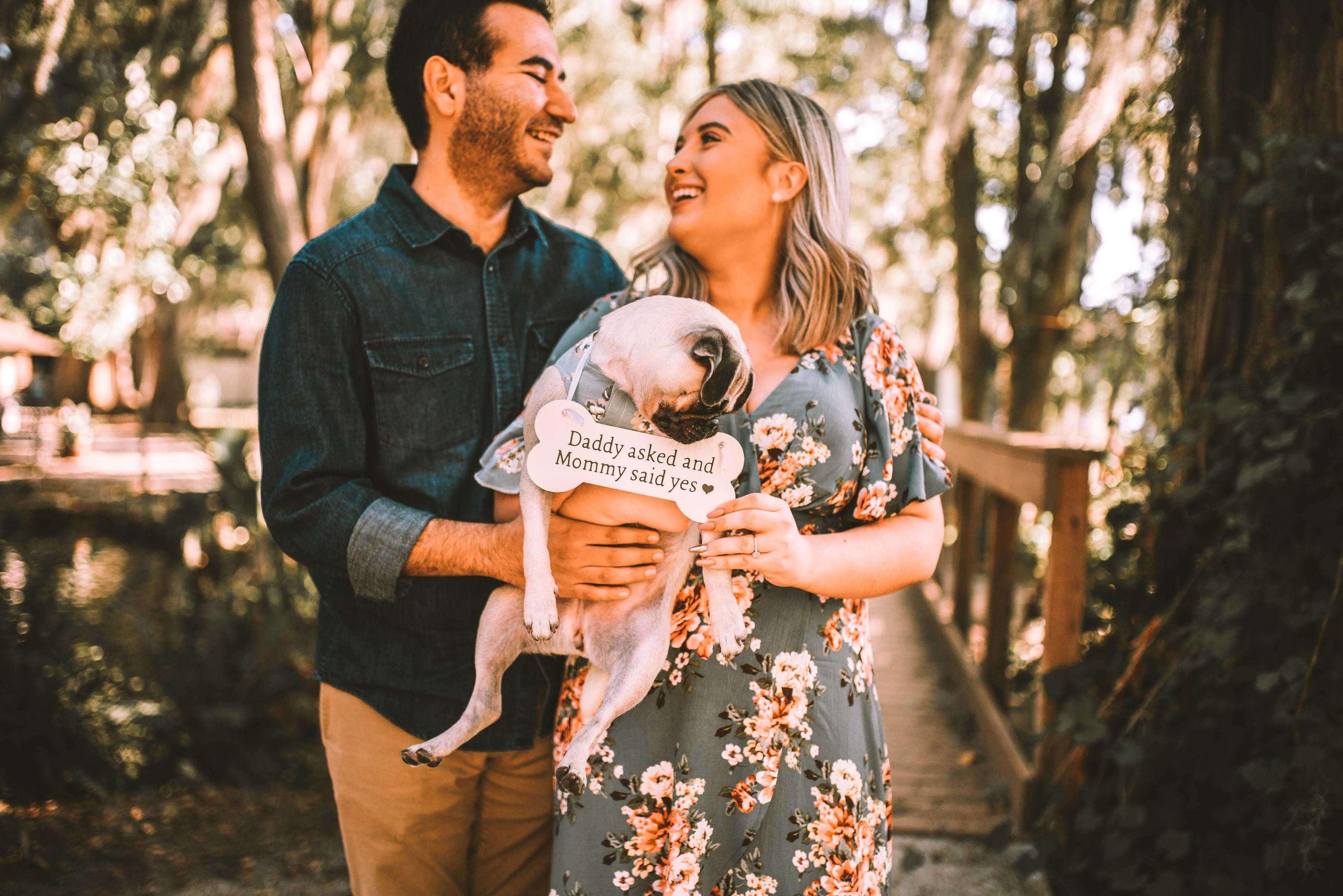 The Wedding Website of Jenna Kyle and Jeffrey Meltzer