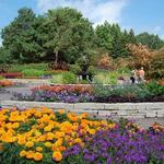 Minnesota Landscape Arboretum