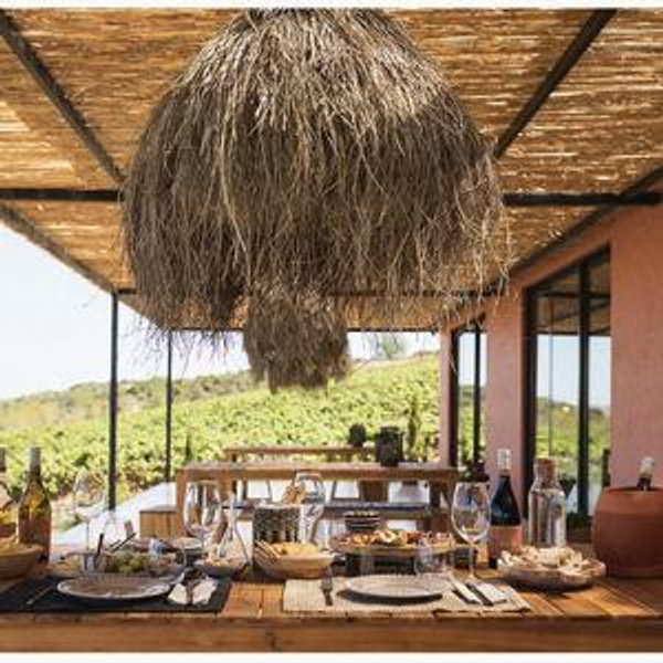 Algarve Wine Tasting