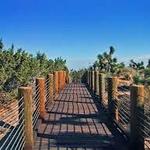Prime Desert Woodland Preserve