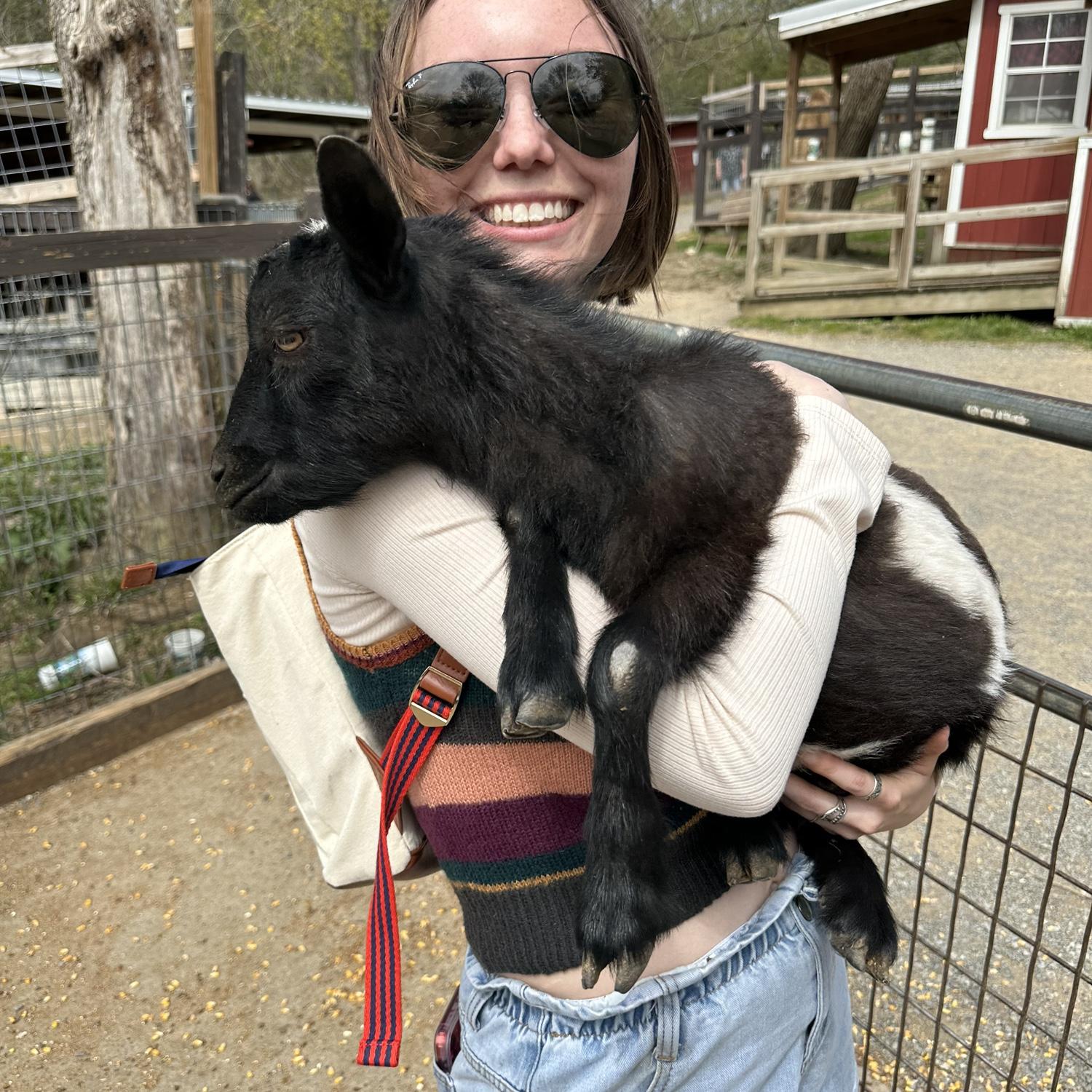Gatlinburg, TN (I wanted to kidnap the goat)