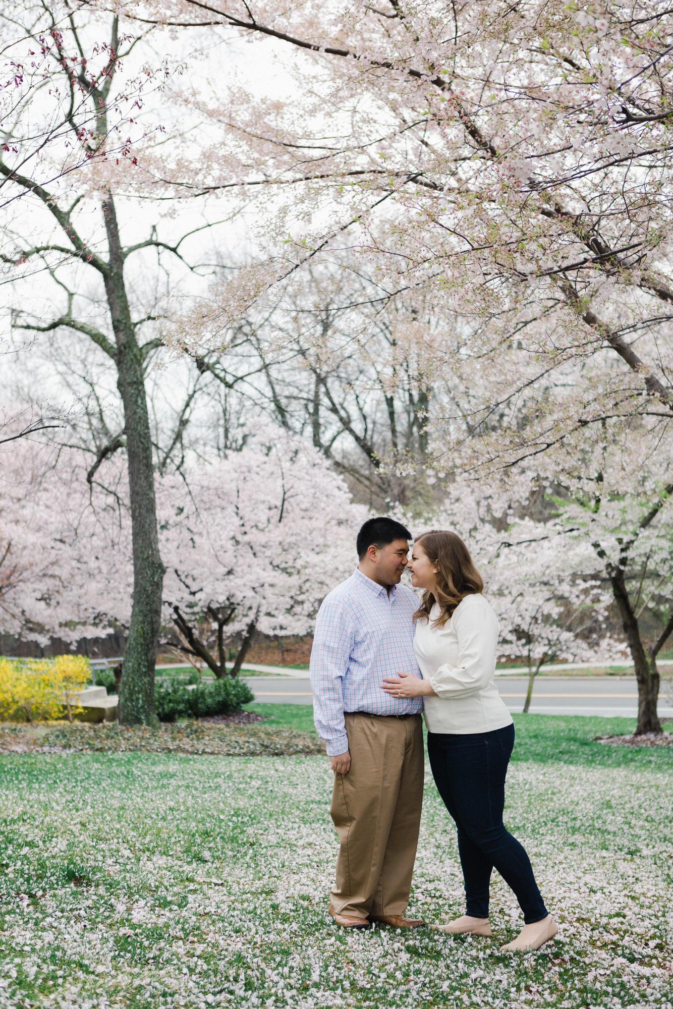 Cherry blossom engagement pictures at the Basilica of the National Shrine of the Immaculate Conception, March 2020. (Kate Grace Photography)