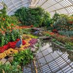 Phipps Conservatory and Botanical Gardens: Center for Sustainable Landscapes
