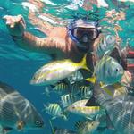 Snorkel