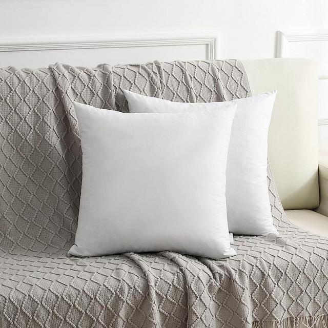 DWR Set of 2 Feather Down Throw Pillow Inserts 20x20 with Organic Cotton Cover, Goose Feather Square White Decorative Pillow Inserts for Bed, Sofa, and Couch