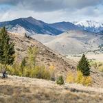 Adam's Gulch trailhead