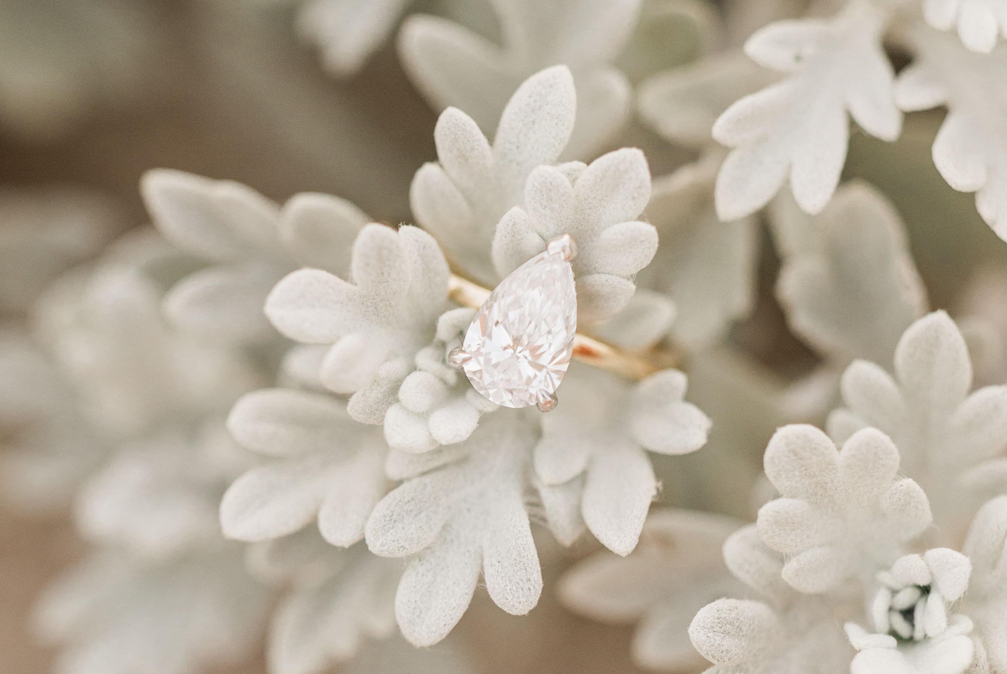 The Wedding Website of Jennifer De Los Santos and Nathanial Rivera