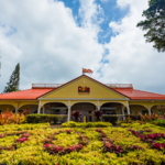 Dole Plantation