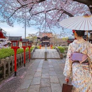 Japan Honeymoon Fund