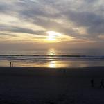 Torrey Pines State Reserve