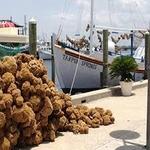 Tarpon Springs Sponge Docks
