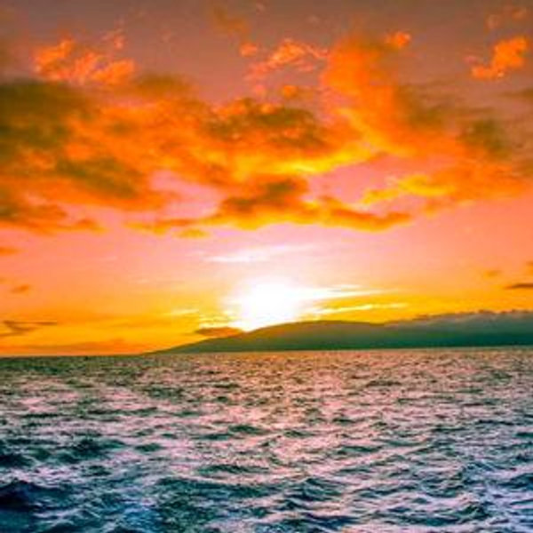 Ma'alaea romantic sunset dinner cruise