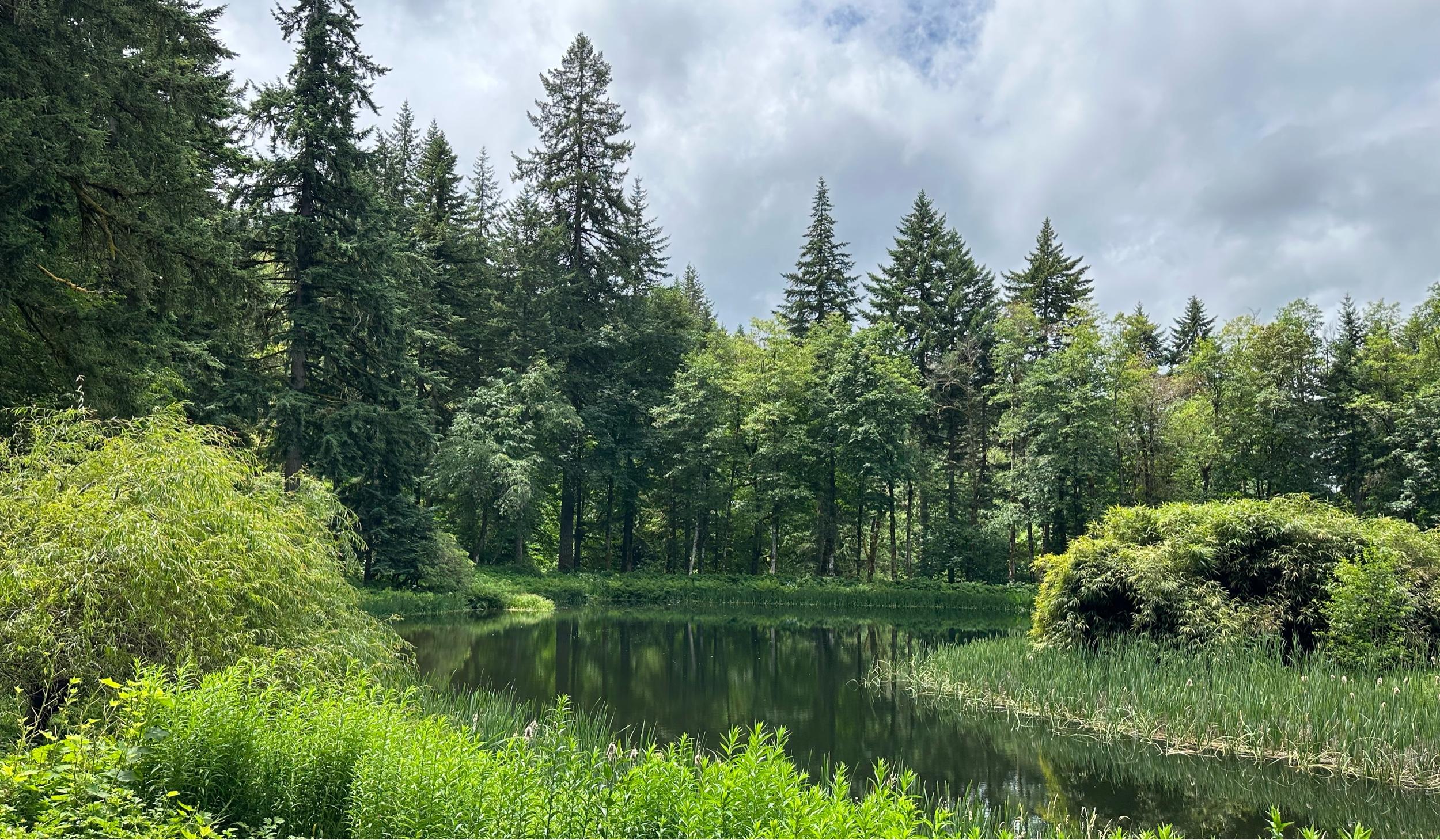 The Wedding Website of Brooklyn Lowery and Oliver Farnes