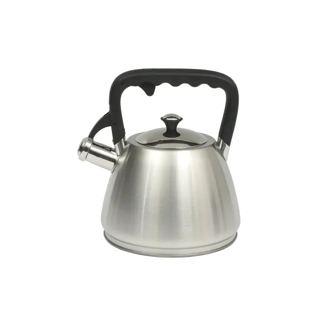 Mr. Coffee Armidale Large 2.5QT Brushed Stainless Steel Whistling Tea Kettle