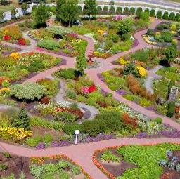 Aerial view of The Garden