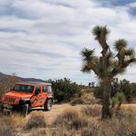 Big Wheel Tours & Palm Desert Bike Rentals