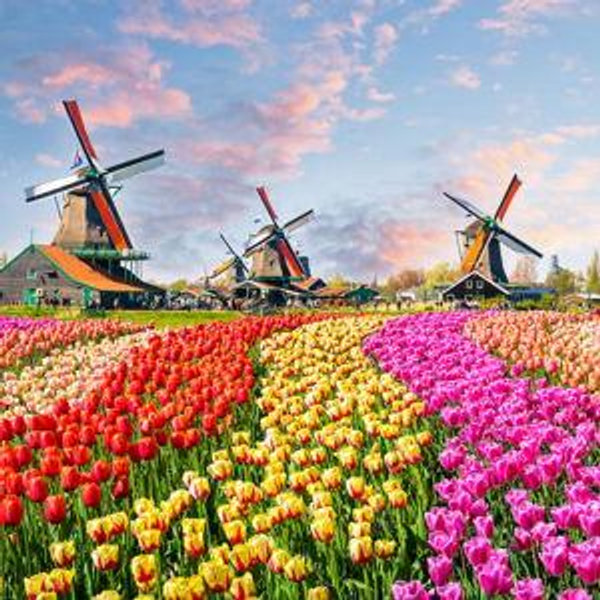Zaanse Schans and Volendam Private Tour