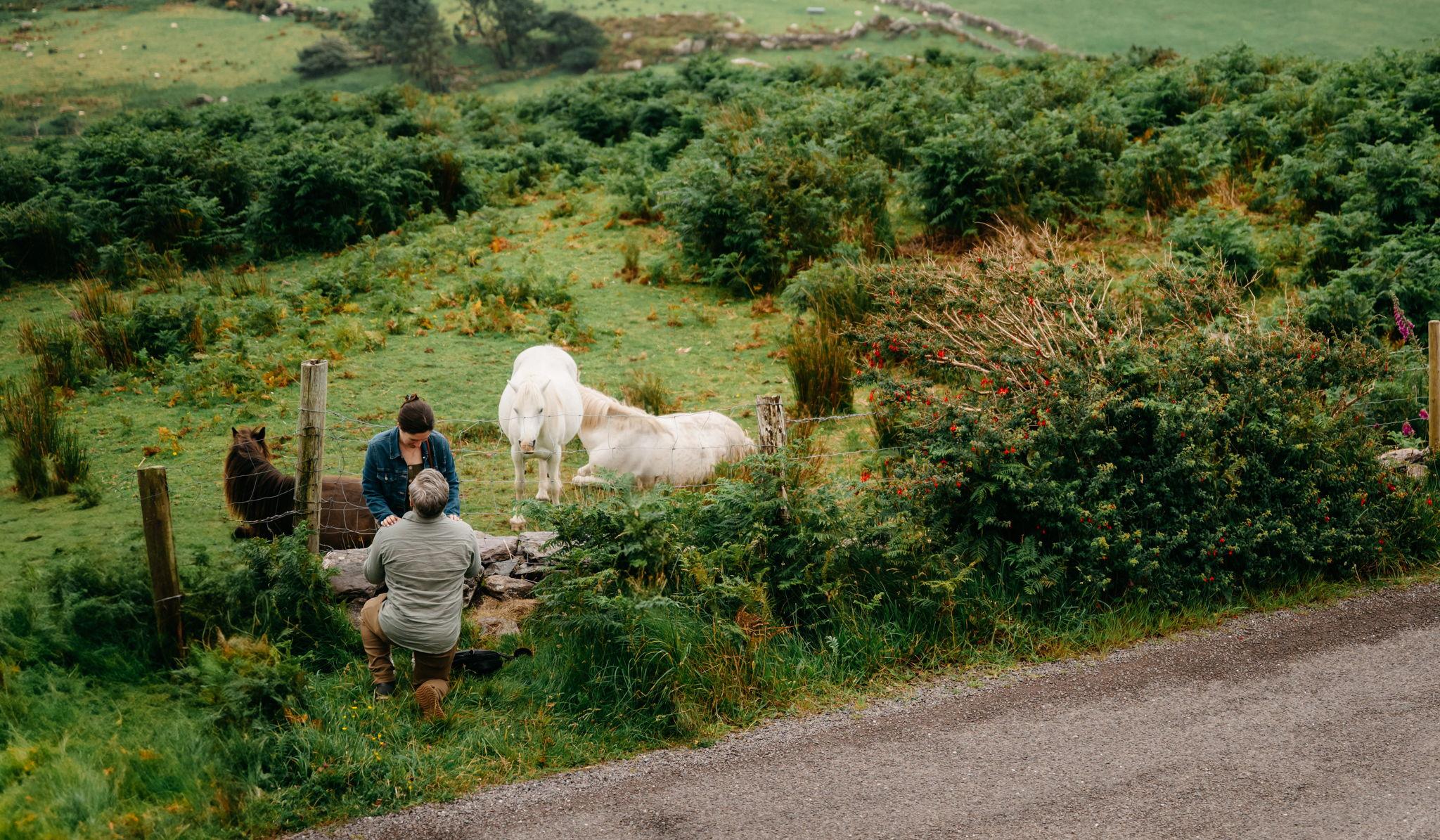 Hero Slideshow Image 2