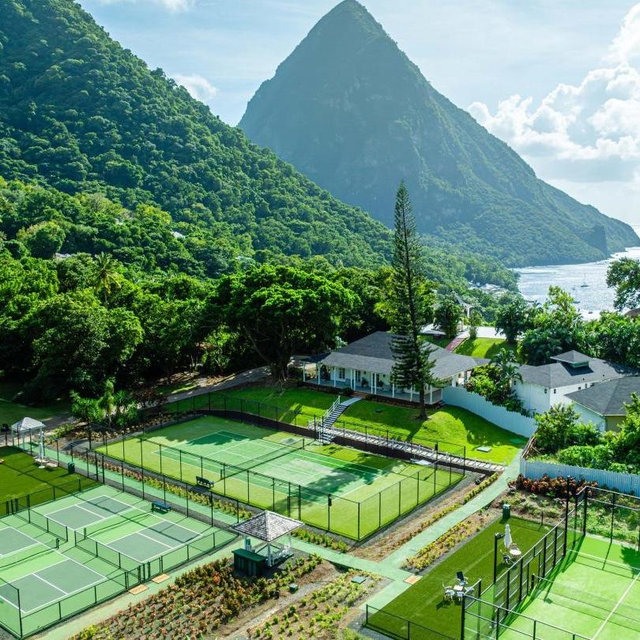Private Pickleball Court