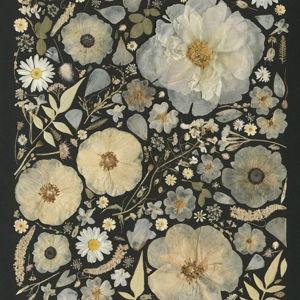 Floral preservation