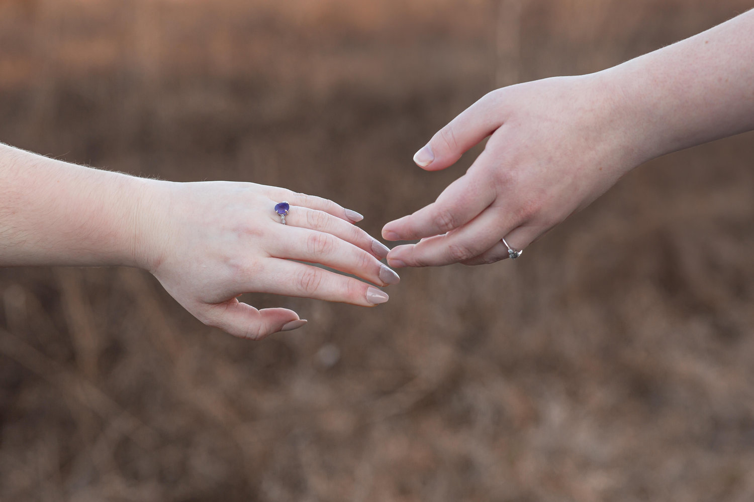 The Wedding Website of Aimee Lemmon and Allie Thomas