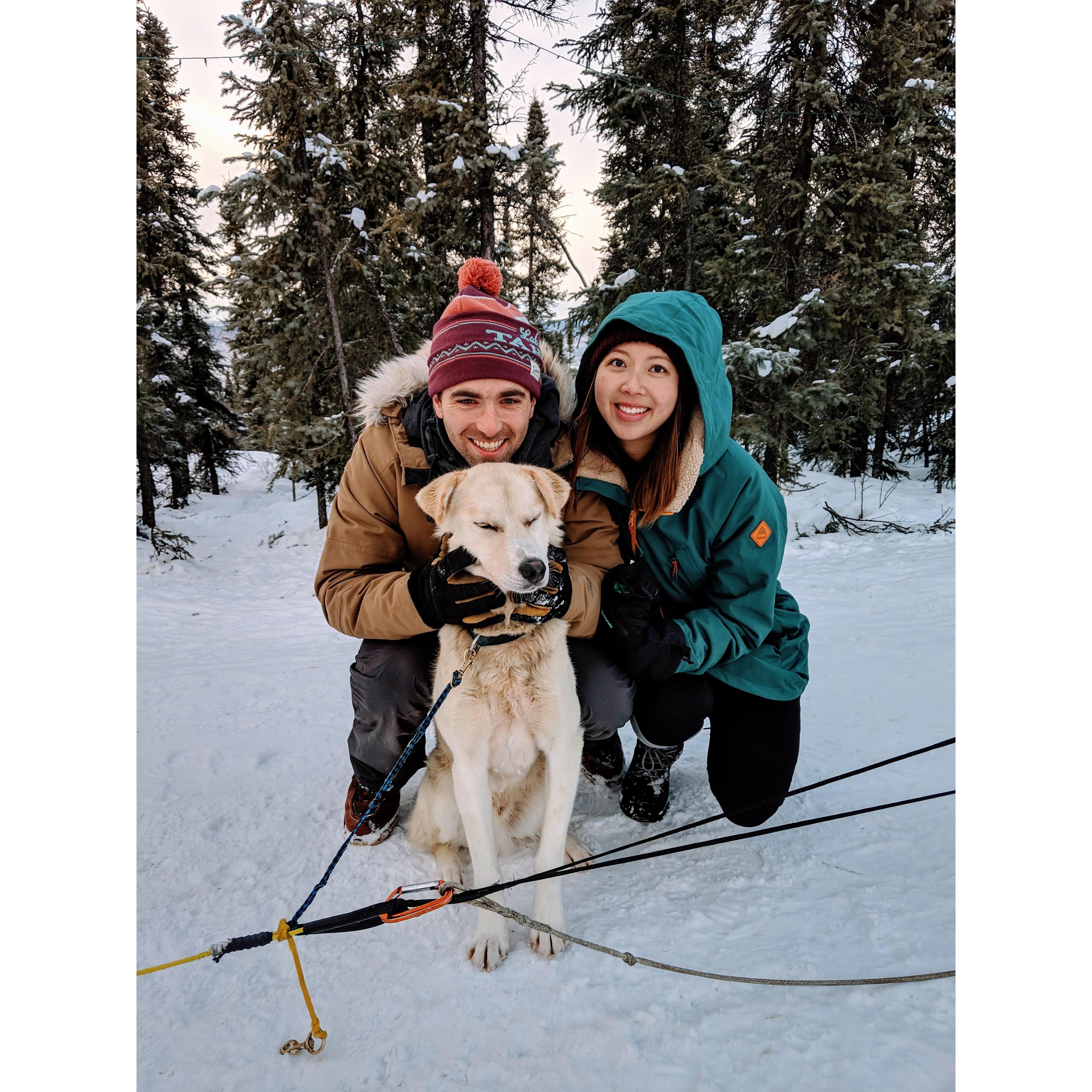 Dog-sledding in Fairbanks, Alaska