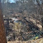 Hawn State Park