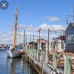 Newport