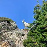 Jewel Basin Hike