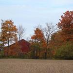 Sears Woods State Nature Preserve