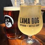 Lama Dog Tap Room & Bottle Shop
