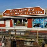 Monterey Bay Whale Watch