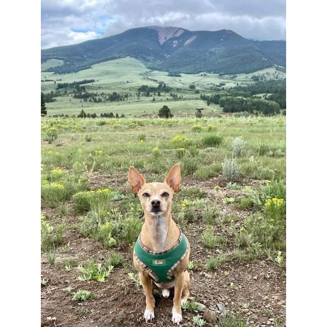 Our little guy in New Mexico