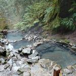 Terwilliger Hot Springs Trailhead