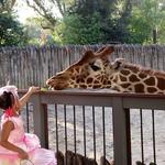 Sacramento Zoo