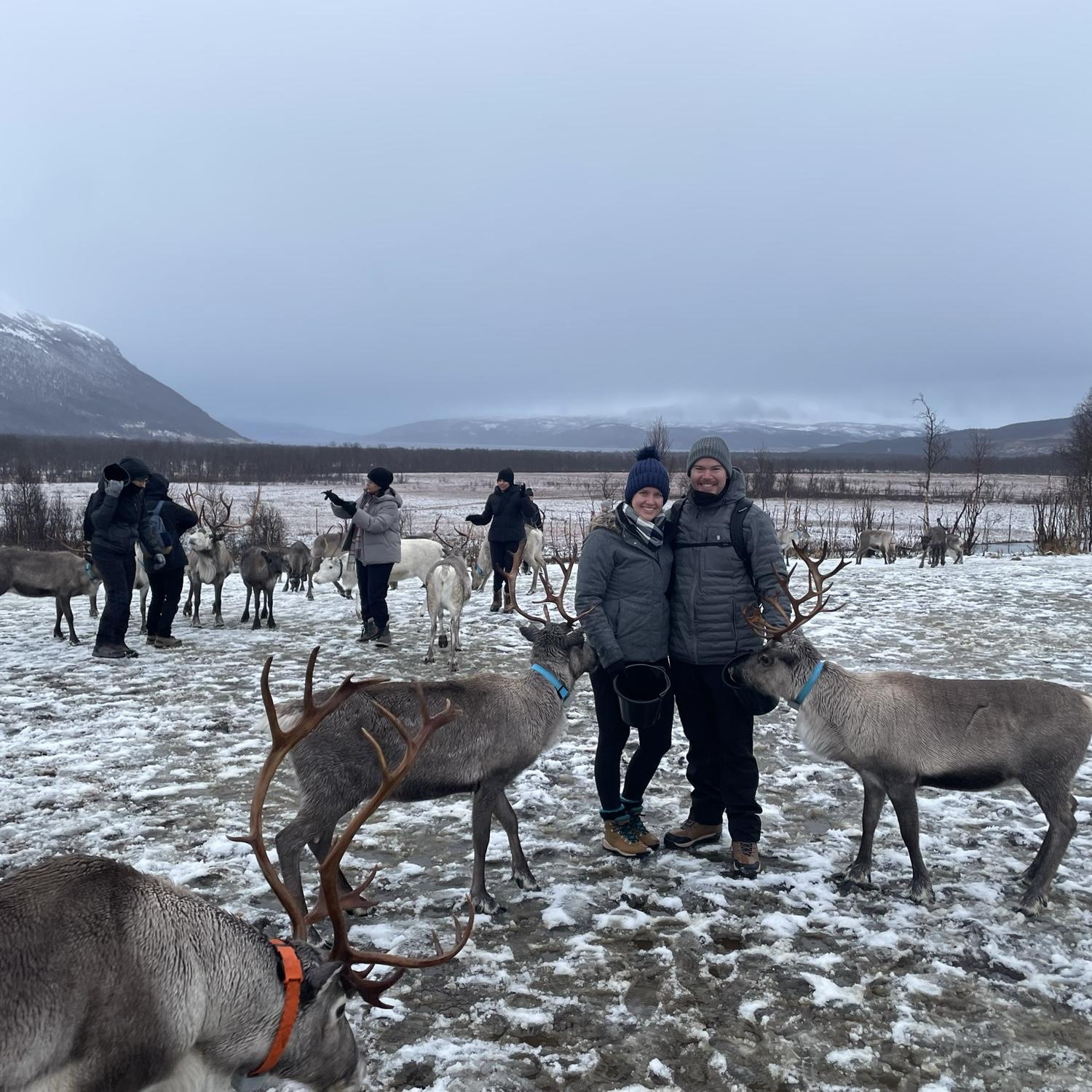 Norway Reindeer!
November 2022