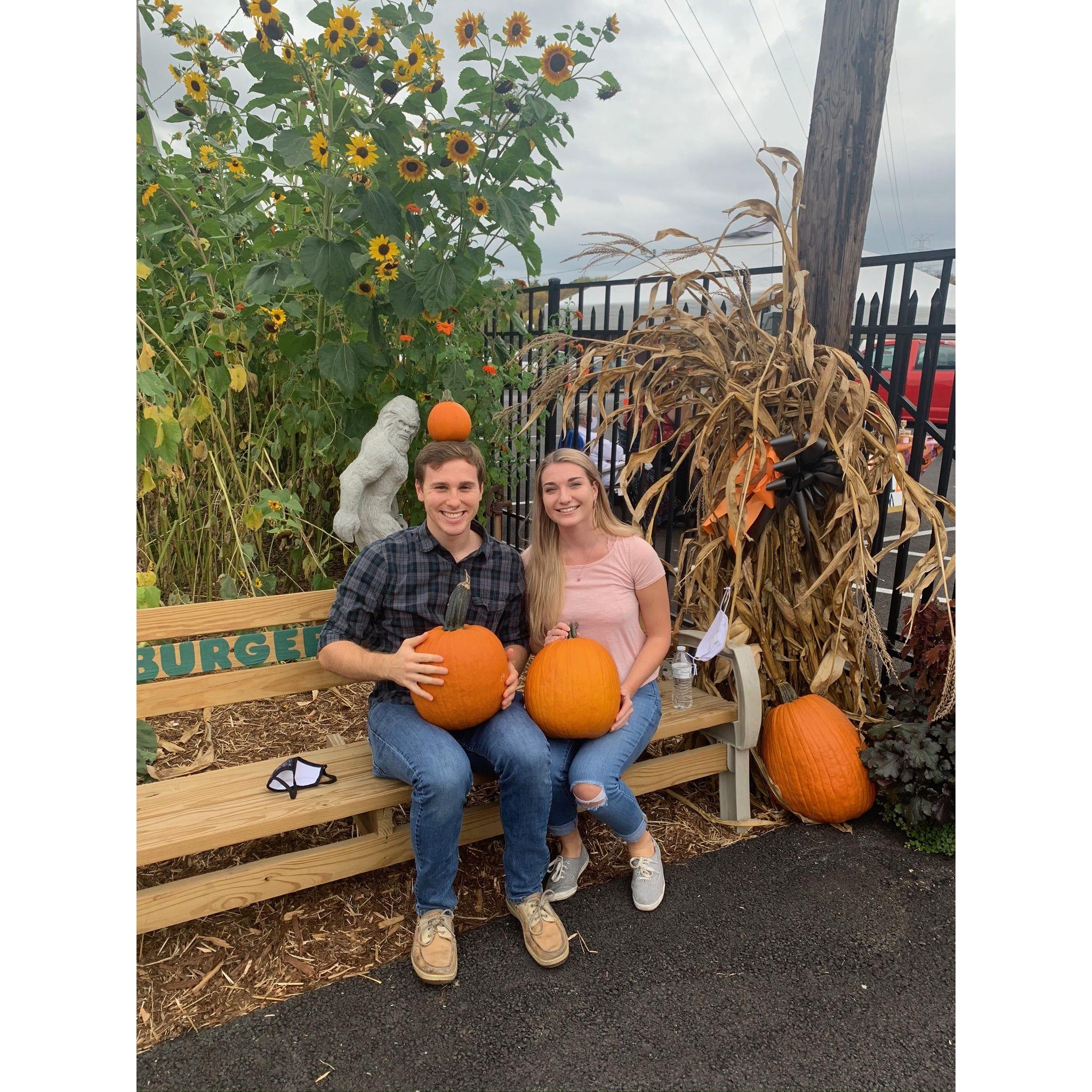 Pumpkin picking!
