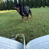 Books-A-Million