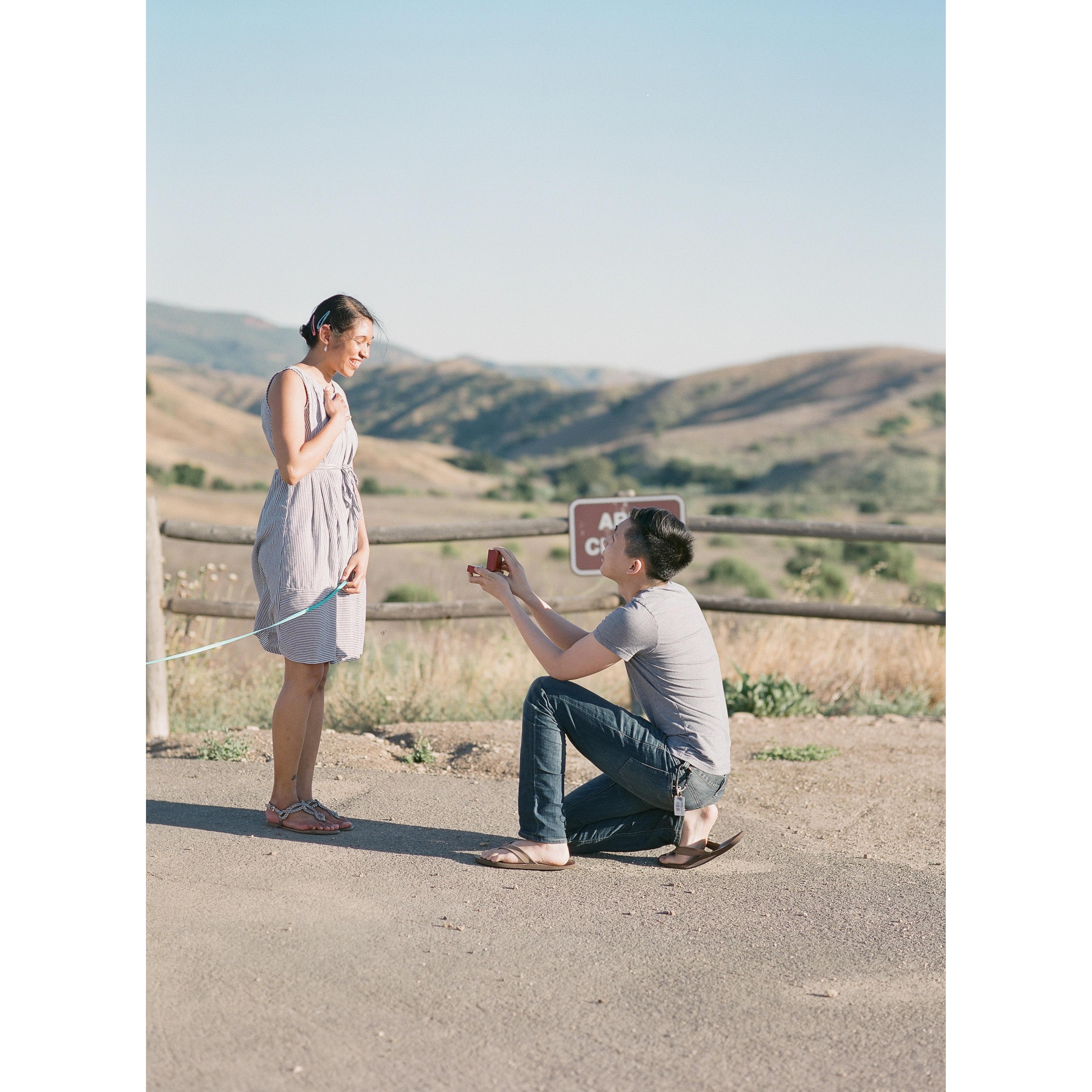 Proposal photoshoot in Chino Hills Park 2020