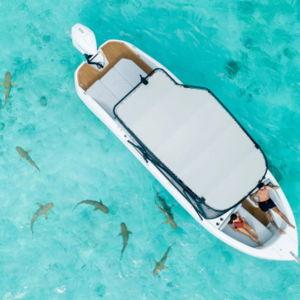 Snorkeling Lagoon Tour in BoraBora