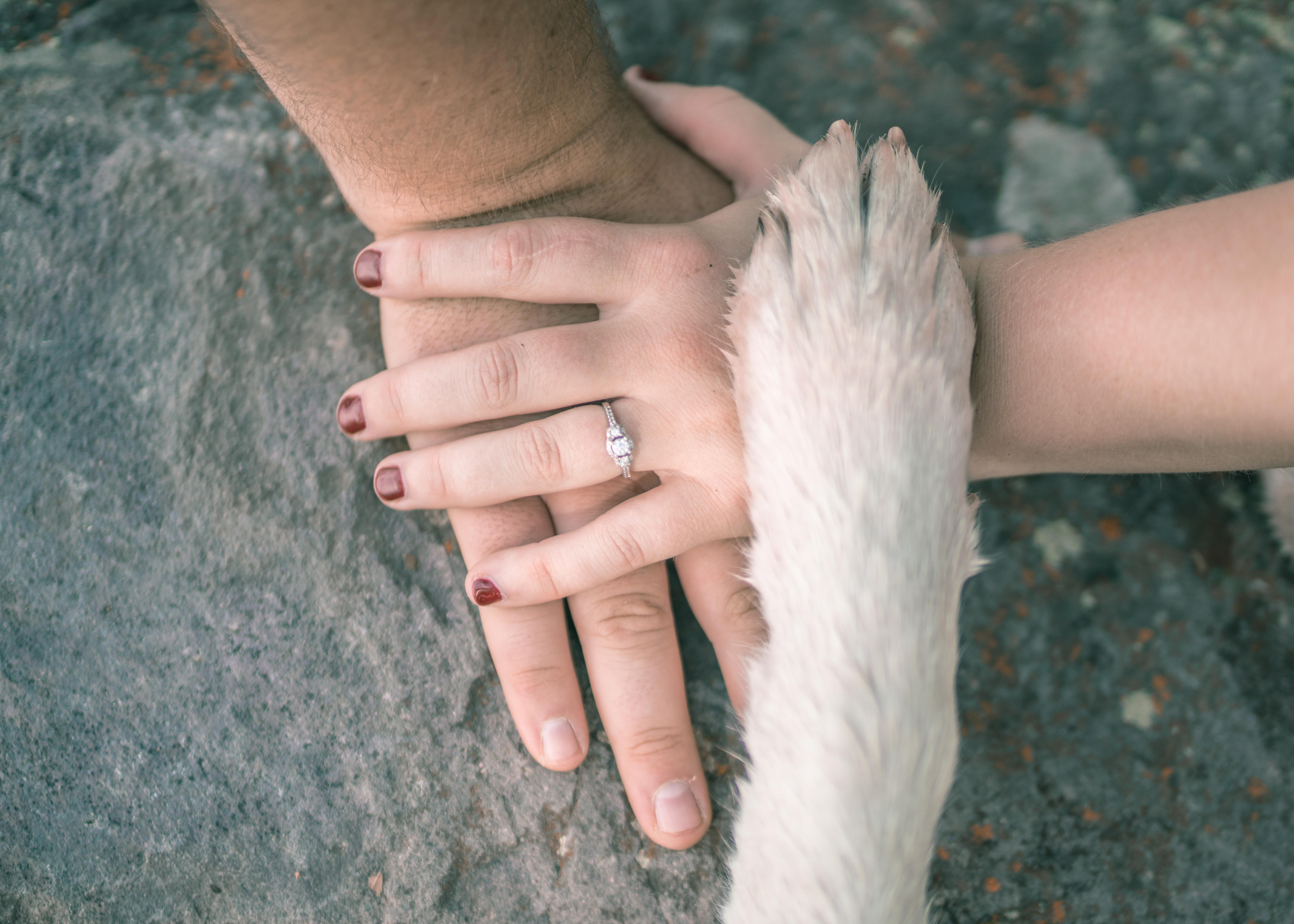 The Wedding Website of Brittany Wehman and Andrew Decker