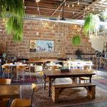 Casual Animal Brewing Co